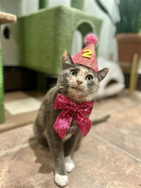 10000 best Two Year images on Pholder | Superstonk, The Way We Were and ...