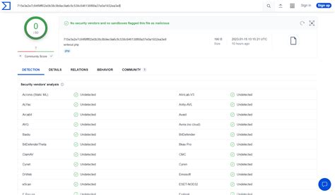 Netless Bypass Script 的图像结果