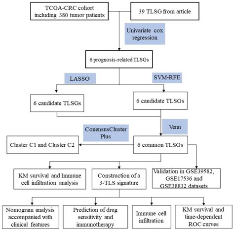 Image result for Lymphgen Algorithm