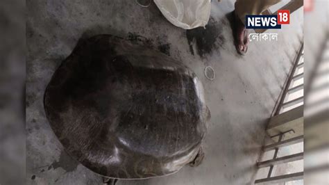 World Turtle Day was celebrated through awareness raising programs ...