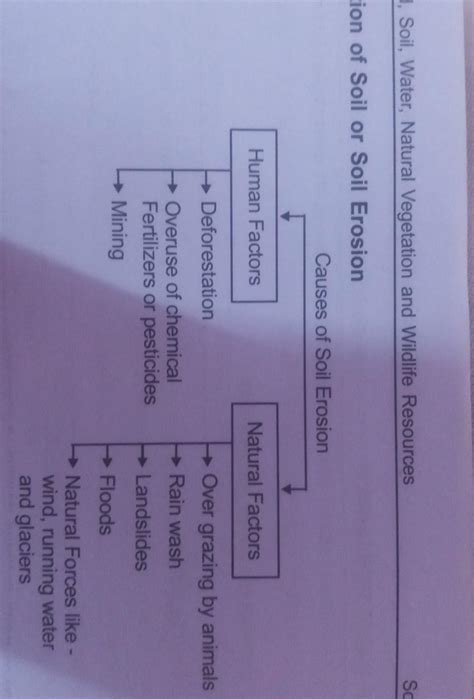 guys can any one tell how to learn this flow chart - Brainly.in