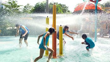premier pools inc: swimming pool side, amusement park, school college ...