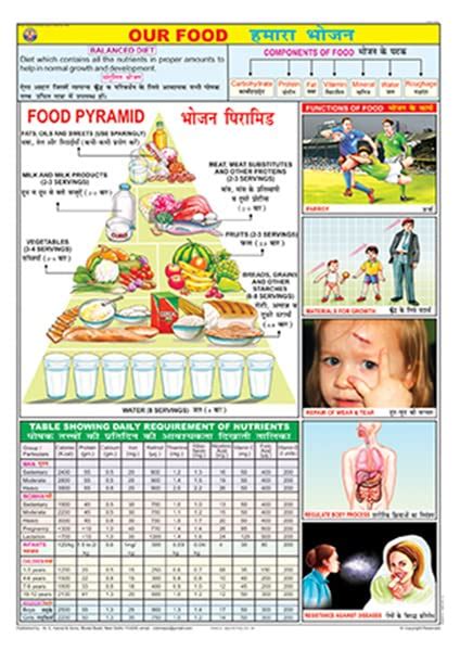 Buy FN01 | TeachingNest | Our Food Chart (70x100cm) | Food and ...