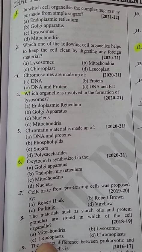 In which cell organelles the complex sugars may be made from simple sugar..