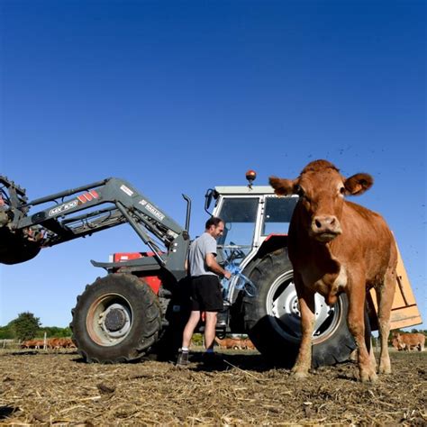 French Agriculture