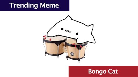 Bongo Cat Original Meme 的图像结果