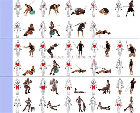 Chest Expander Workout Course 的图像结果