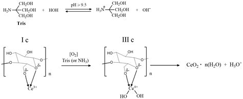 Synthesis of Cerium Oxide Nanoparticles in a Bacterial Nanocellulose ...