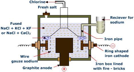 Downs Cell Diagram 的图像结果