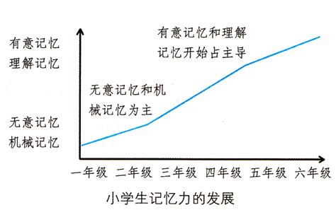 小学生记忆发展规律 - 内容 - 康健外国语实验小学