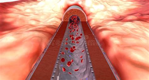 Image result for How to Check Potassium Levels