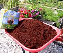 Image result for Coconut Coir Potting Soil