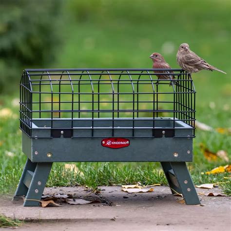 Platform Bird Feeders | Weatherproof & Easy to Clean