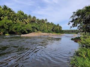 Top 20 things to do in Pollachi (Updated Dec 2024)