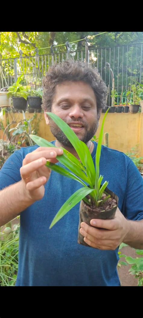 Products – Page 10 – Gardenpro Store