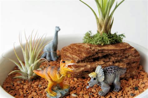 Dinosaur Diorama, Highfields Library, 2 July 2024 | AllEvents