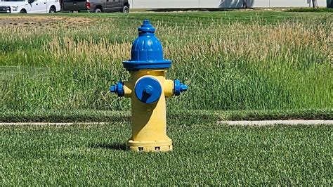 Image result for Hydrant Color Coding