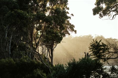 Why Tasmania in Winter Should Be on Your Bucket List: A Deep Dive into the 12 Day Winter Wonders ...