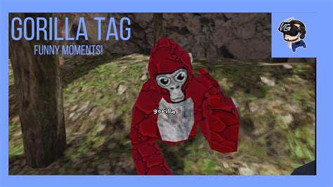 Gorilla Tag VR | Funny moments! | - YouTube