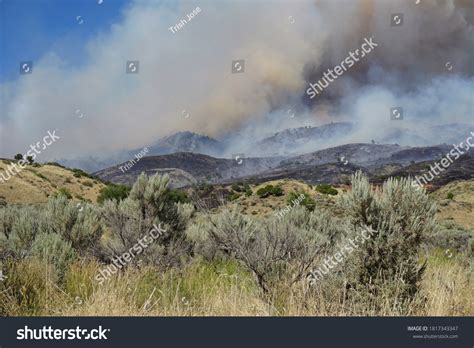 Windy Fire: Over 2,503 Royalty-Free Licensable Stock Photos | Shutterstock
