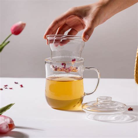 Double Walled Glass Infuser Teapot with Strainer Online - Premium Tea ...