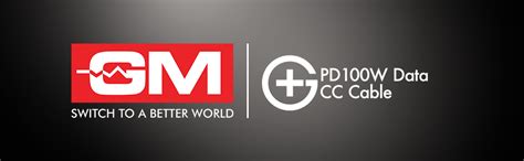 GM G+ PD 100W Data CC Cable,Type-C to Type-C Fast Charging Cord | LED ...