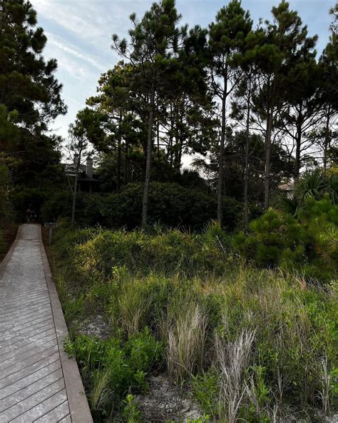 Inga Petry | finally posting from may trip. | Instagram