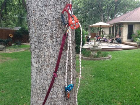 Image result for How to Bilde a Tree Nete