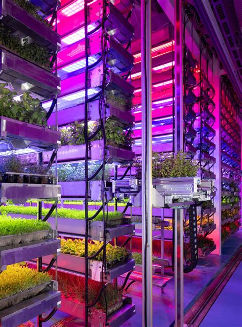 Startup de agricultura vertical autónoma producirá cultivos en el espacio en 2026 » Que Nube ...