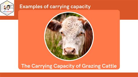 Carrying Capacity Example