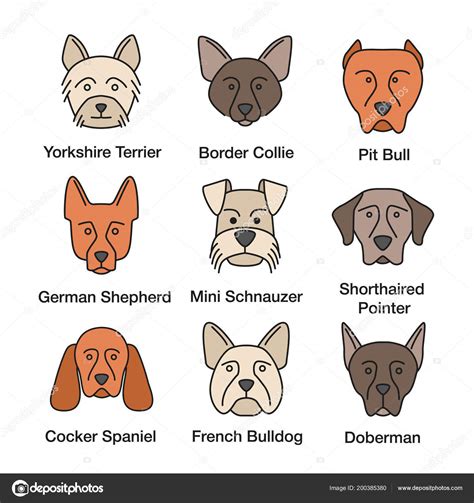 Types Of Alsatian Dogs | ppgbbe.intranet.biologia.ufrj.br