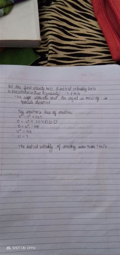 A monkey can jump vertically 2.5m calculate the initial velocity of ...