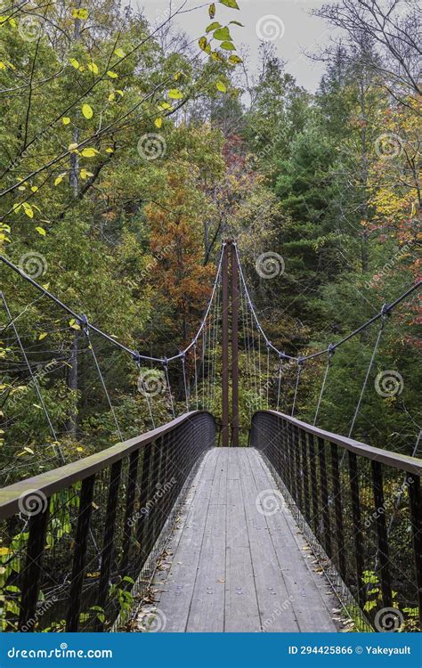 Thoreau Bridge in Hidden Valley Preserve Stock Photo - Image of bridge ...
