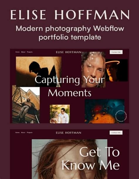 Professional Website Templates