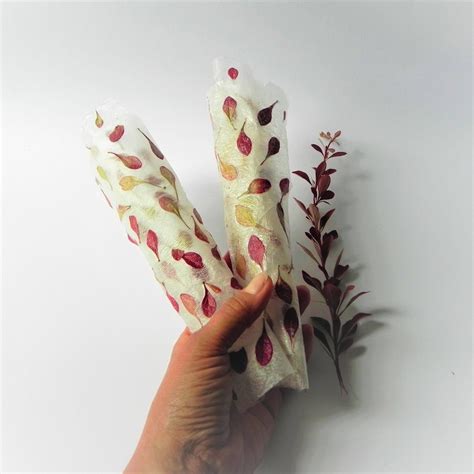 Nature Paper 的图像结果