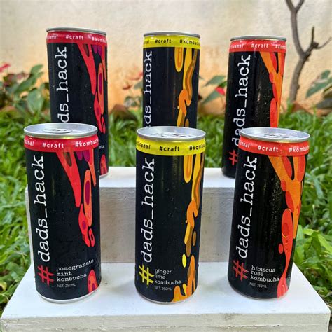 Pack of 6 Cans Mix Flavors - With option to choose flavours – Dad's Hack