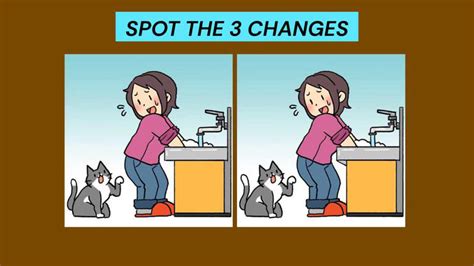 Spot the difference puzzle: Find 3 differences in this woman and cat scene!