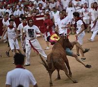 Image result for Man dies at Spanish bull festival