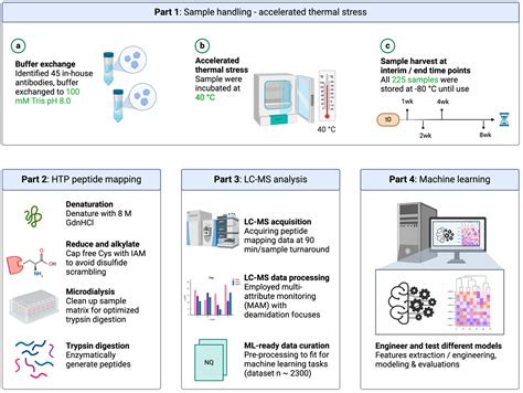 The Accurate Prediction of Antibody Deamidations by Combining High ...