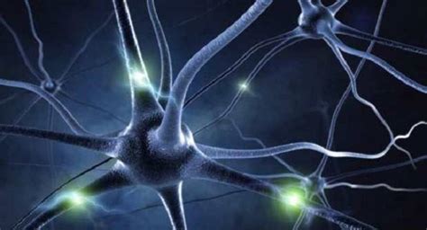 Neurons | reducing seizures | newborns | TheHealthSite.com ...