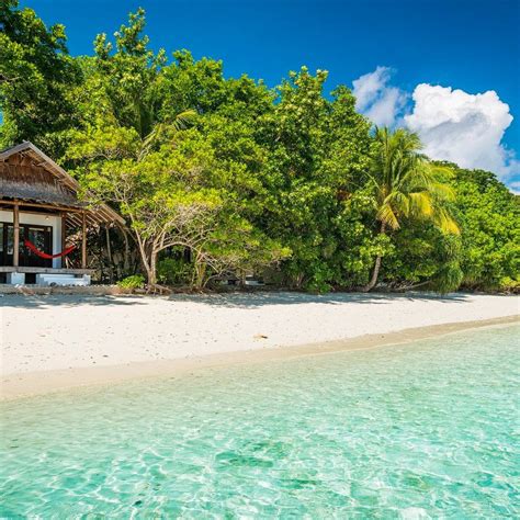 PAPUA DIVING (2026) All You Need to Know BEFORE You Go (with Photos ...