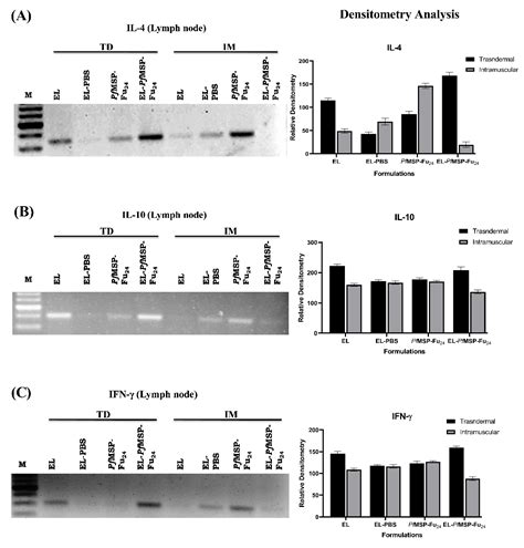 Transdermal Immunization of Elastic Liposome-Laden Recombinant Chimeric ...