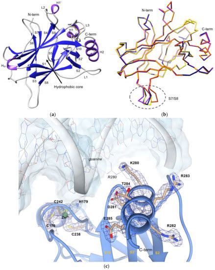 The Crystal Structure of the R280K Mutant of Human p53 Explains the ...