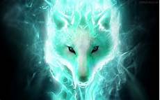 cool green wolf wallpaper 64 neon wolf wallpapers on wallpaperplay cool green wolf wallpaper 64 neon wolf wallpapers on wallpaperplay