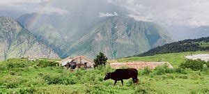 ROPEWAY FROM JOSHIMATH TO AULI (2026) All You Need to Know BEFORE You ...