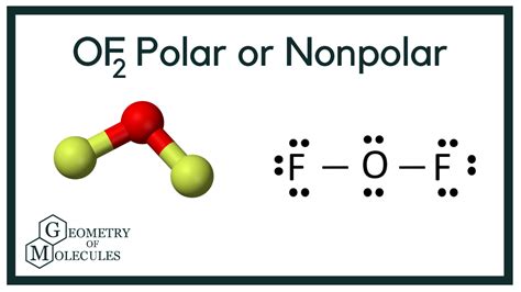O2 Polar 的图像结果