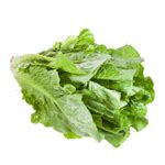 Lechuga Romana Bolsa 2 Ud. - SABORES TIPICOS