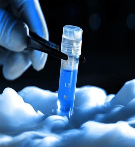 Frozen Embryo Transfer in Kolkata | Uma Medical Fertility