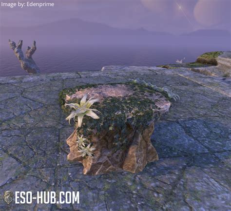 Image result for Eso Drop Table