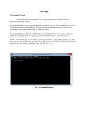 Command-Prompt Exam 的图像结果